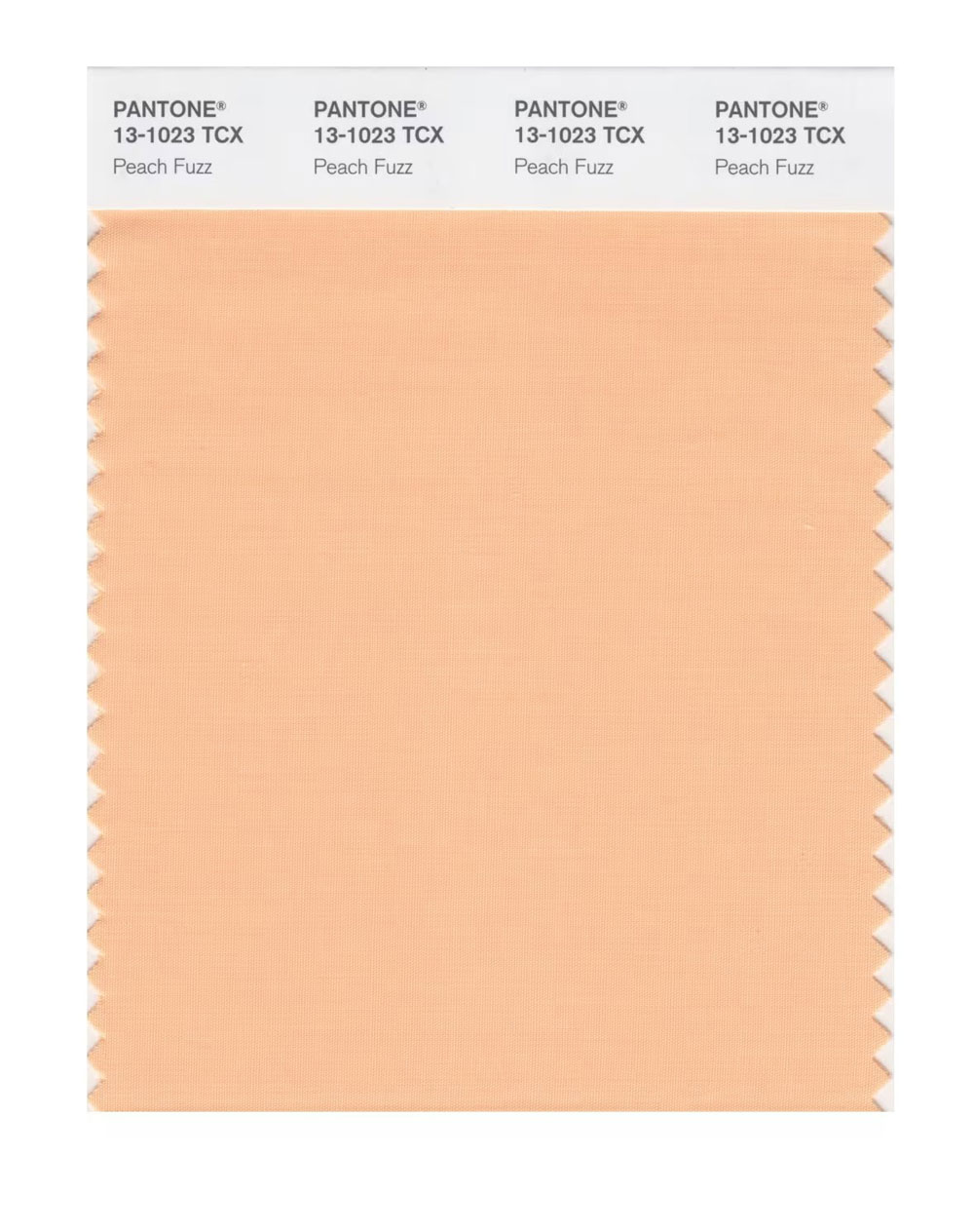 Màu sắc của năm 2024: Sắc hồng đào - Màu sắc thúc đẩy quá trình hồi phục