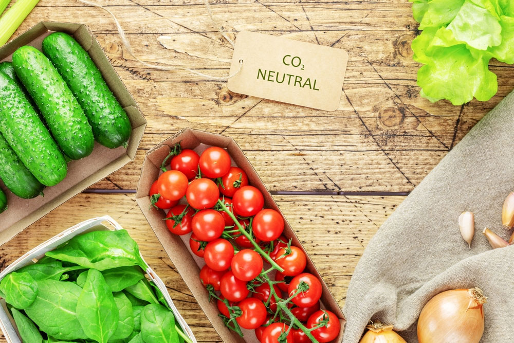 Bí mật từ Trend Hunter: Dự đoán những xu hướng đột phá trong lĩnh vực Food & Beverage đến năm 2024