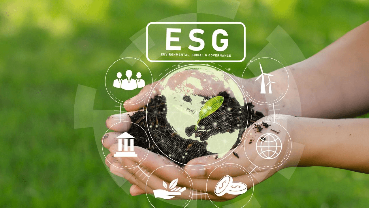 Phát triển bền vững: Tất cả những gì bạn cần biết về xu hướng nổi bật 2023