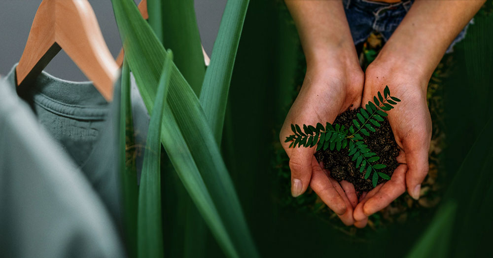 Phát triển bền vững: Tất cả những gì bạn cần biết về xu hướng nổi bật 2023