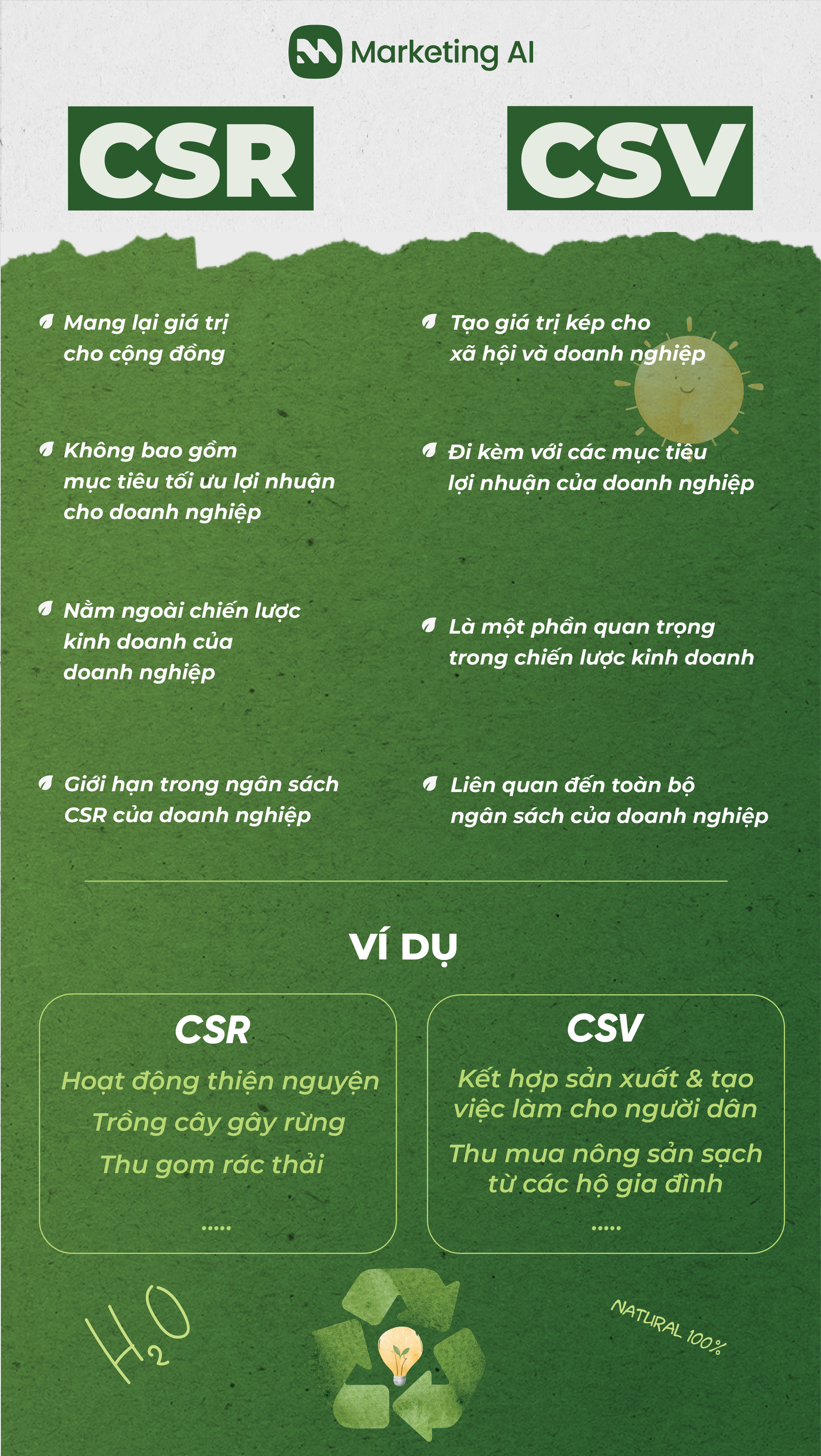 Phát triển bền vững: Tất cả những gì bạn cần biết về xu hướng nổi bật 2023