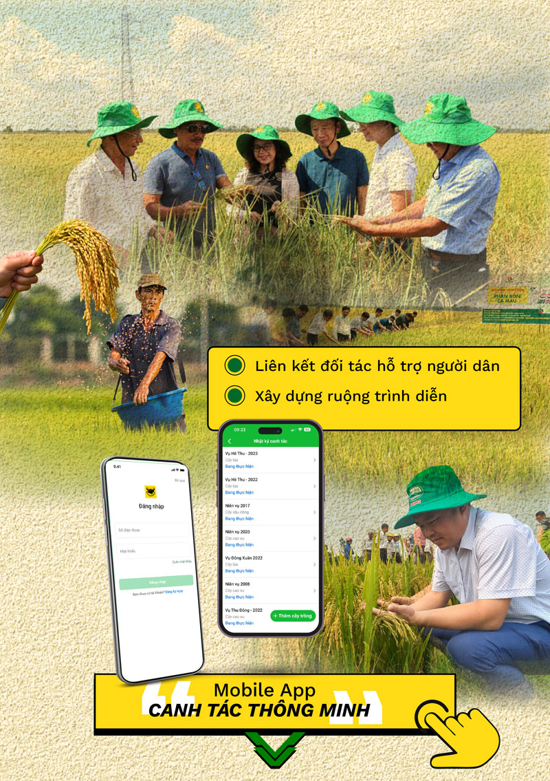 Giải pháp đột phá của Bình Điền: Hành động cùng nhân dân vượt biến đổi khí hậu