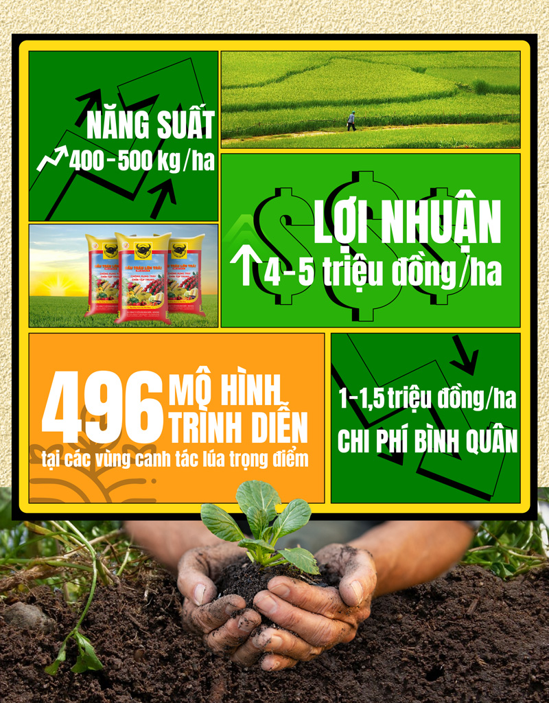 Giải pháp đột phá của Bình Điền: Hành động cùng nhân dân vượt biến đổi khí hậu