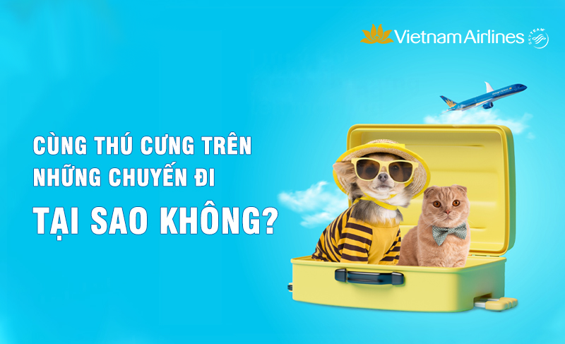 Lifebuoy bước lên vị trí dẫn đầu trong cuộc đua quảng cáo Tết với Tết ổn rồi, Facebook ra mắt tính năng “link history” giúp theo dõi truy cập người dùng