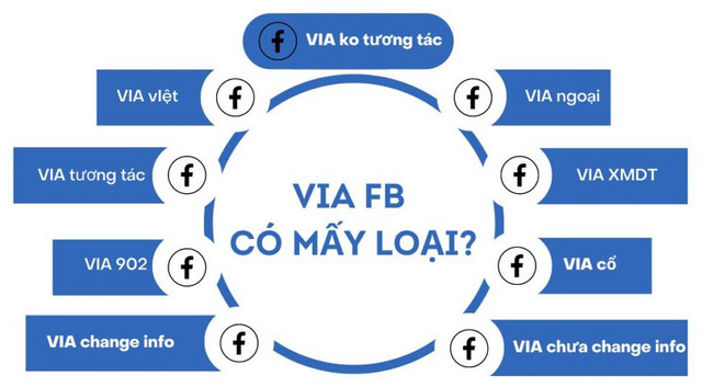 các loại via phổ biến