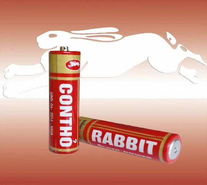 Hơn 60 năm vẫn “chạy” tốt - Pin Con Thỏ thu về hơn 1 tỷ/ngày, lập kỷ lục lợi nhuận năm 2023- Ảnh 1.