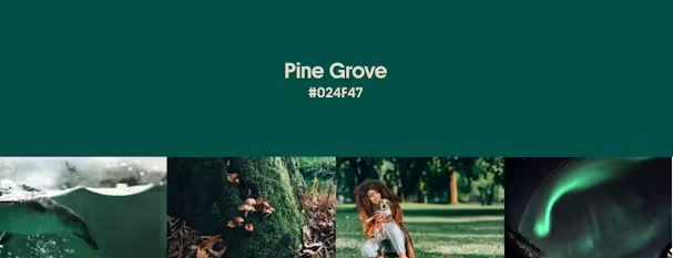 Pine Grove - màu sắc thống trị mùa thu đông 2024