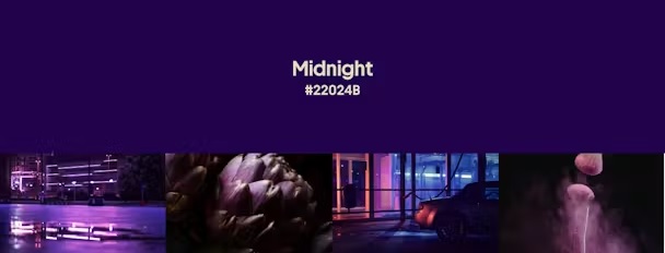 Midnight - màu sắc thống trị mùa thu đông 2024