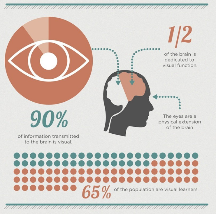 how brain views infographics