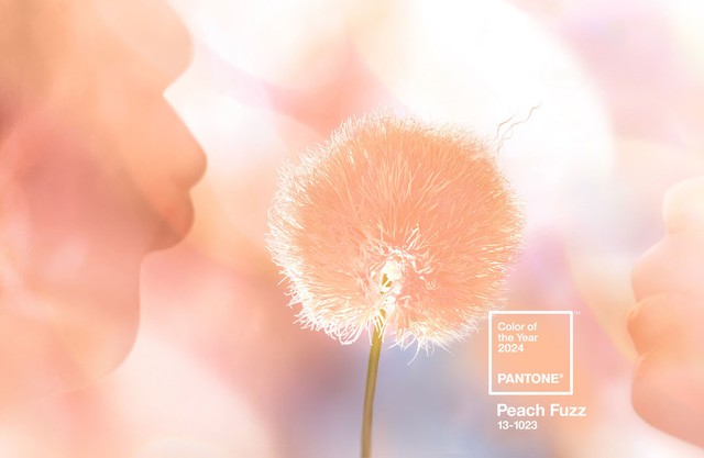 Màu năm 2024 gọi tên Peach Fuzz - Màu đào mơ với thông điệp chữa lành
