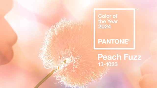 Pantone công bố màu sắc của năm 2024 - Peach Fuzz