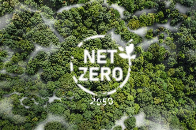 Phát triển bền vững: Thuật ngữ &quot;cần biết&quot; & xu hướng mới nhất 2023 - Ảnh 4.