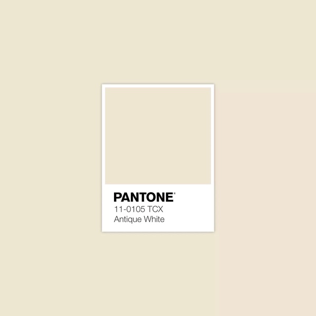 Xu hướng màu sắc Pantone 2025: Tôn vinh phong cách cá nhân & cổ vũ sự tự do, thể hiện bản thân- Ảnh 12.