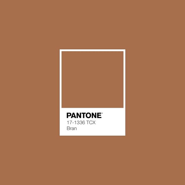 Xu hướng màu sắc Pantone 2025: Tôn vinh phong cách cá nhân & cổ vũ sự tự do, thể hiện bản thân- Ảnh 10.