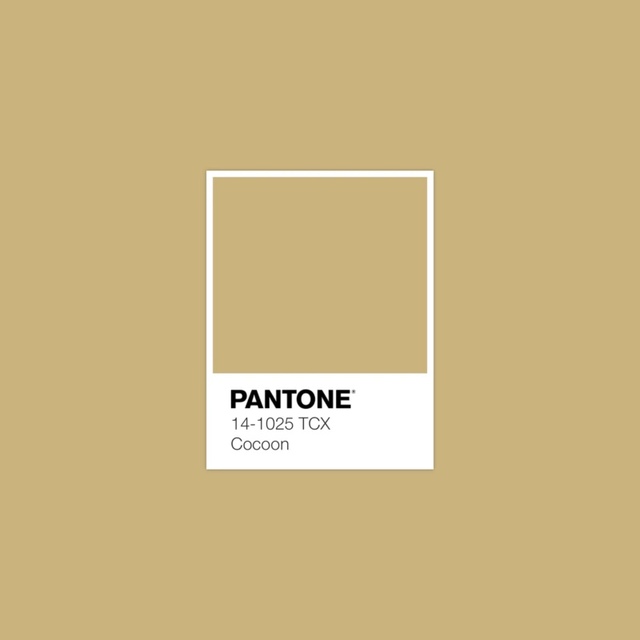 Xu hướng màu sắc Pantone 2025: Tôn vinh phong cách cá nhân & cổ vũ sự tự do, thể hiện bản thân- Ảnh 7.