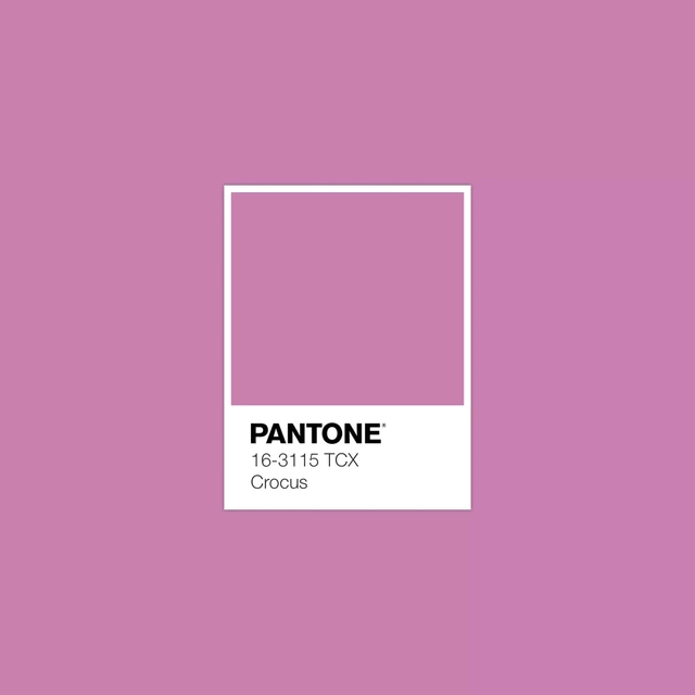 Xu hướng màu sắc Pantone 2025: Tôn vinh phong cách cá nhân & cổ vũ sự tự do, thể hiện bản thân- Ảnh 1.