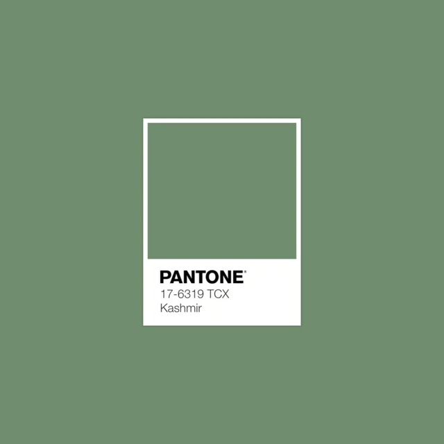 Xu hướng màu sắc Pantone 2025: Tôn vinh phong cách cá nhân & cổ vũ sự tự do, thể hiện bản thân- Ảnh 5.