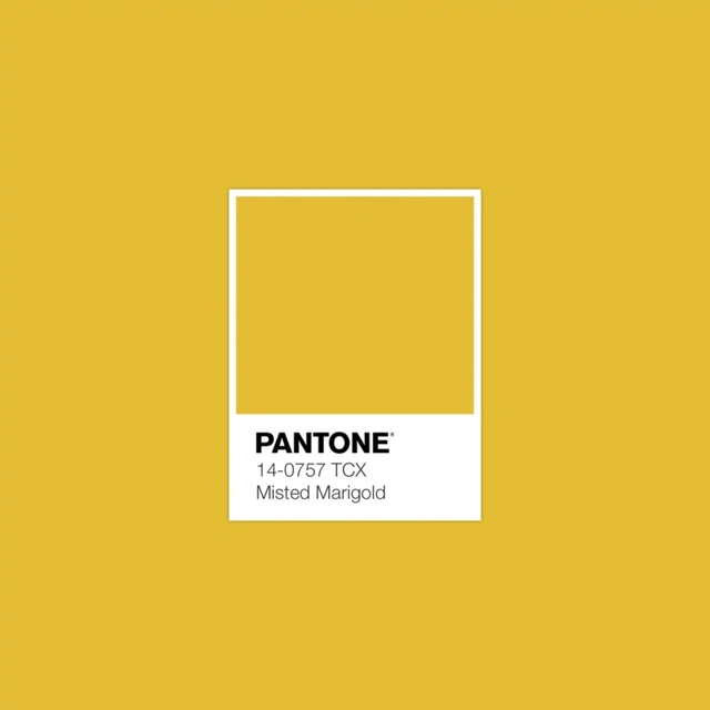 Xu hướng màu sắc Pantone 2025: Tôn vinh phong cách cá nhân & cổ vũ sự tự do, thể hiện bản thân- Ảnh 6.