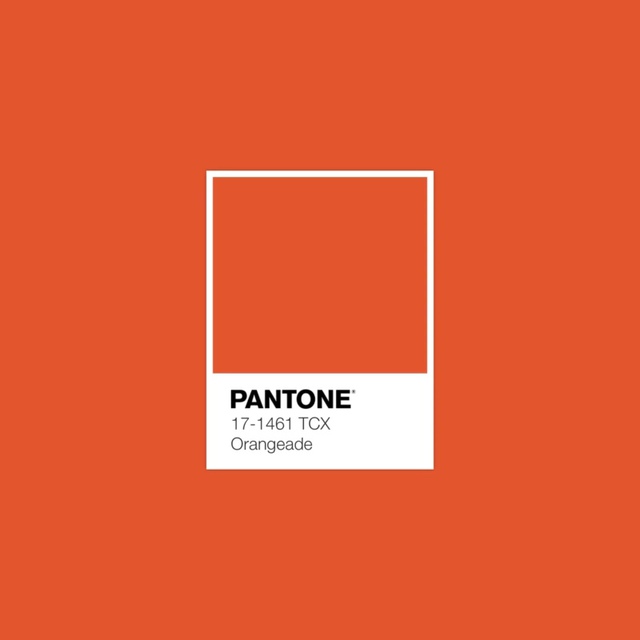 Xu hướng màu sắc Pantone 2025: Tôn vinh phong cách cá nhân & cổ vũ sự tự do, thể hiện bản thân- Ảnh 8.