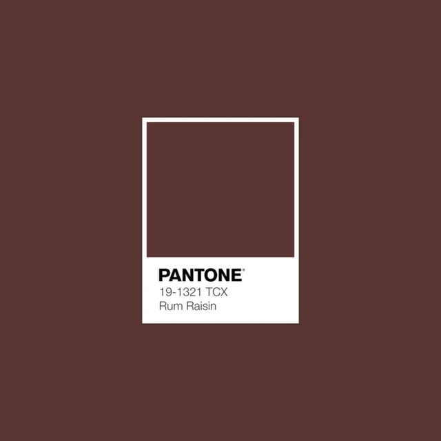 Pantone công bố màu sắc của năm 2025 - Mocha Mousse