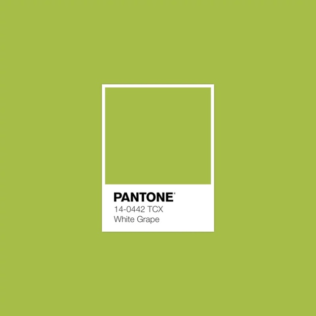 Xu hướng màu sắc Pantone 2025: Tôn vinh phong cách cá nhân & cổ vũ sự tự do, thể hiện bản thân- Ảnh 4.