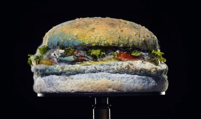 Chiến dịch độc lạ của Burger King Brazil: Đàn ông hói đầu ngay lập tức được tặng hamburger miễn phí - Ảnh 3.