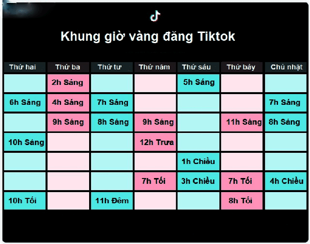 Tip để video lên xu hướng TikTok nhanh chóng và dễ dàng nhất