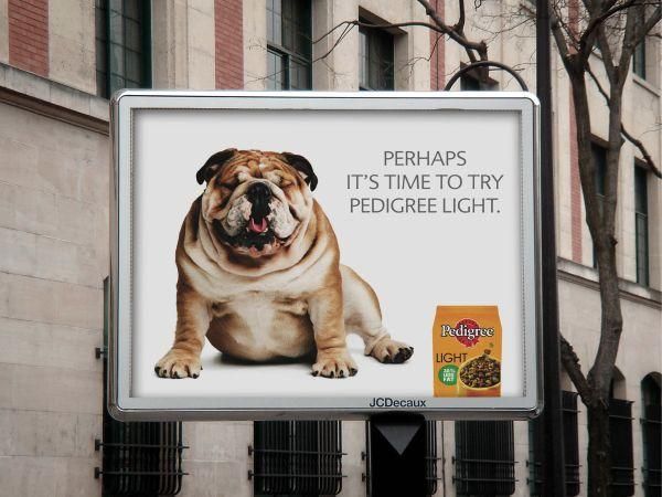 Sử dụng hình ảnh đáng yêu từ động vật để quảng cáo