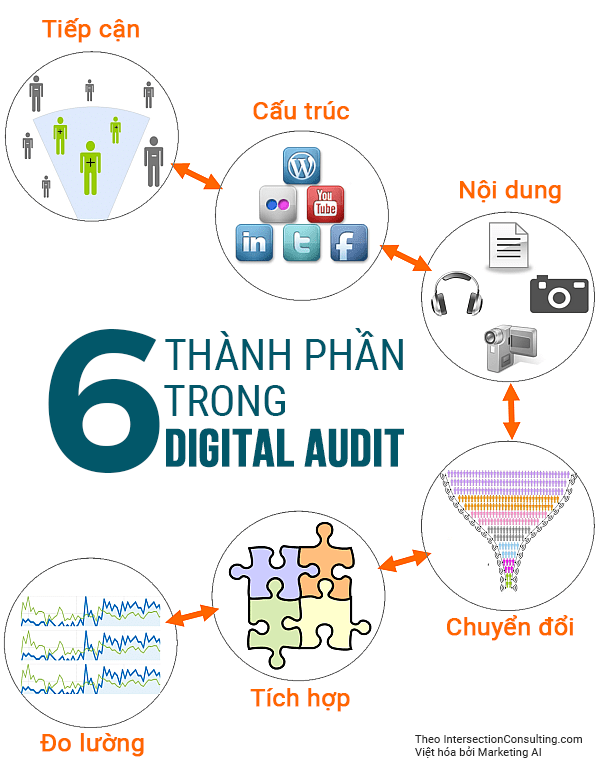 6 thành phần cơ bản trong digital audit