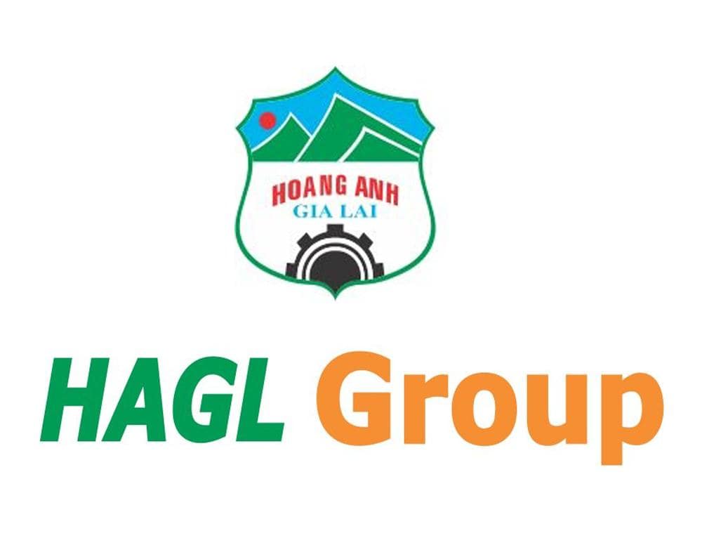 Giới thiệu về HAGL Group