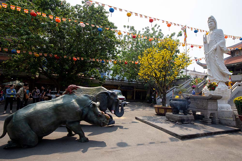 _title_img_crawl Mô hình tê giác bị cưa sừng quỳ trước tượng Phật thức tỉnh người dân Việt Nam về nạn săn bắn trái phép- Ảnh 1.