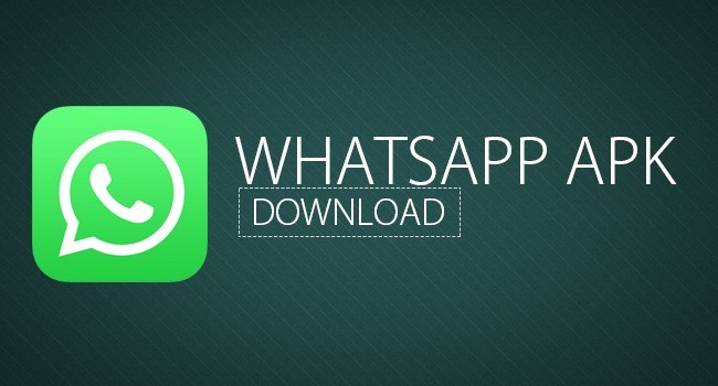 Hướng dẫn sử dụng WhatsApp trên điện thoại
