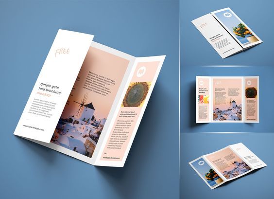 Một số mẫu thiết kế leaflet đẹp 5