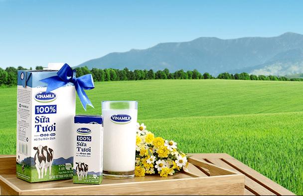 Tham khảo TOP 5 thương hiệu sữa nổi tiếng tại Việt Nam