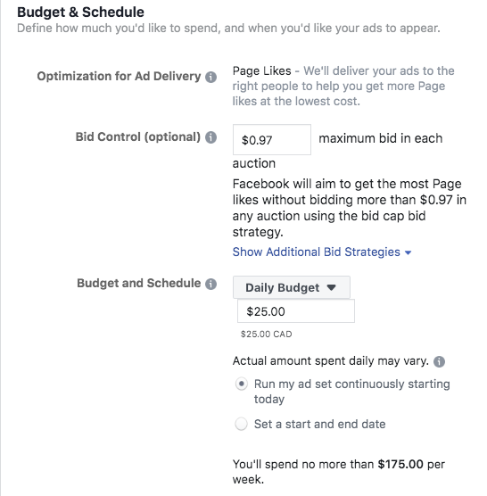 Cách chạy quảng cáo trên Facebook - Đặt ngân sách và lịch đăng quảng cáo