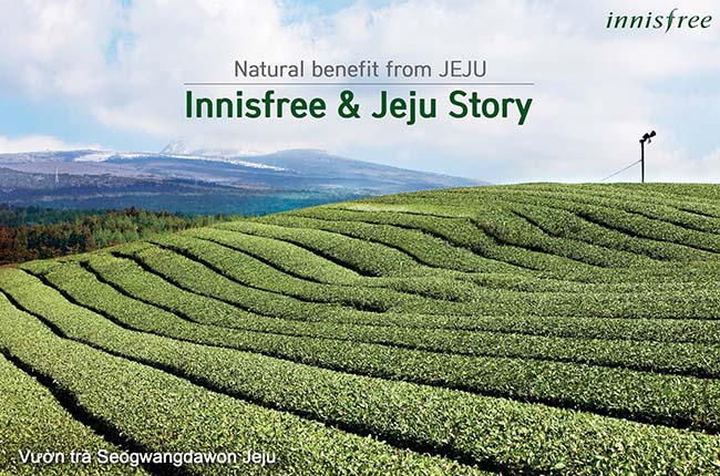 Hòn đảo Jeju chính là “át chủ bài” của thương hiệu innisfree