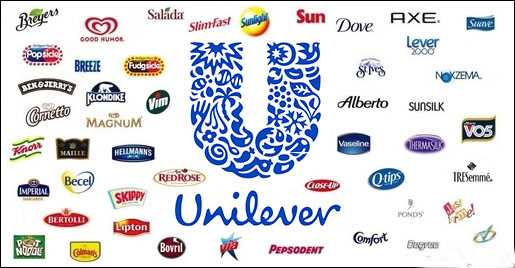   Unilever - Tập đoàn đa quốc gia sở hữu hàng trăm mặt hàng khác nhau: Tiêu dùng nhanh, hoá dược phẩm,...