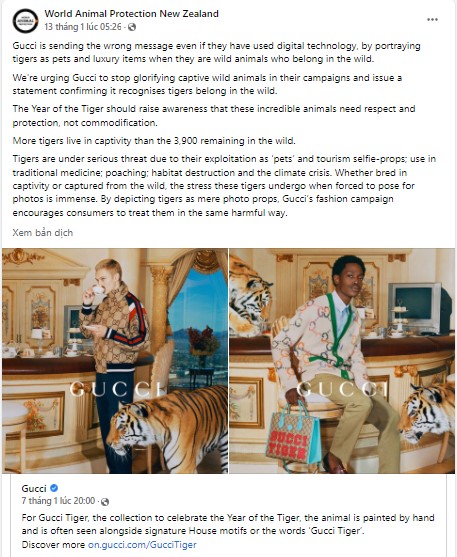 World Animal Protection New Zealand không đồng tình với chiến dịch quảng cáo mới của Gucci