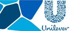 Liên hệ thực tiễn công tác tổ chức bộ máy quản trị nhân lực của tại công ty  TNHH quốc tế Unilever