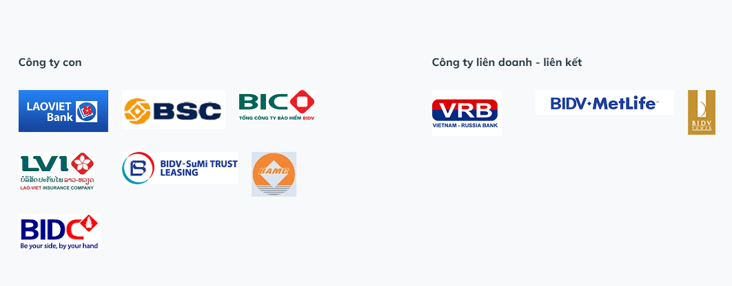 Các công ty con và đơn vị liên doanh - liên kết của BIDV