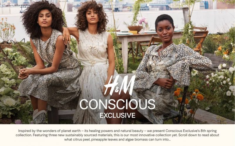 Conscious Collection (Thời trang có ý thức) là một bộ sưu tập thường niên được H&M cho ra mắt và được hãng quảng bá là các thiết kế làm từ các chất liệu bền vững. 