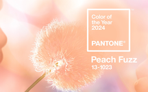 Màu sắc của năm 2024 gọi tên Peach Fuzz - Màu đào mơ với thông điệp chữa lành