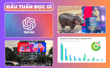 ĐẦU TUẦN ĐỌC GÌ: Chú hà mã Moo Deng nhận giải tại Thailand Tik Tok Awards 2024; Cốc Cốc có thị phần lớn thứ 2 tại Việt Nam