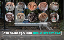 CSR sáng tạo như Hello Street Cat - Chiến dịch bảo vệ mèo hoang đầy tinh tế từ một nhãn hàng công nghệ