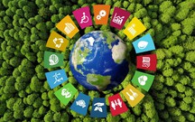 Phát triển bền vững: Nắm bắt những xu hướng & giải pháp mới nhất 2024