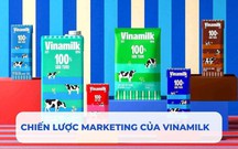 Chiến lược marketing của Vinamilk: Chinh phục thị trường sữa Việt