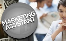 Marketing assistant là ai? Những điều cần biết về Marketing