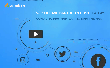 Social Media Executive Là Gì? Bật Mí "Quyền Năng" Của Người Làm Social Media