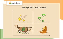 Ma trận BCG của Vinamilk và cách để quản lý hoạt động kinh doanh hiệu quả