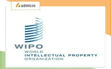 WIPO là gì? Những thông tin cần nắm về Tổ chức Sở hữu trí tuệ Thế giới